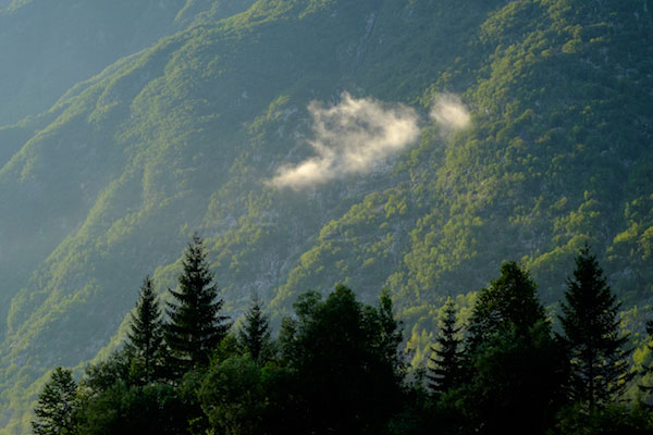 Trauerbegleitung Kudla Ostallgäu – Raum Füssen Wolke